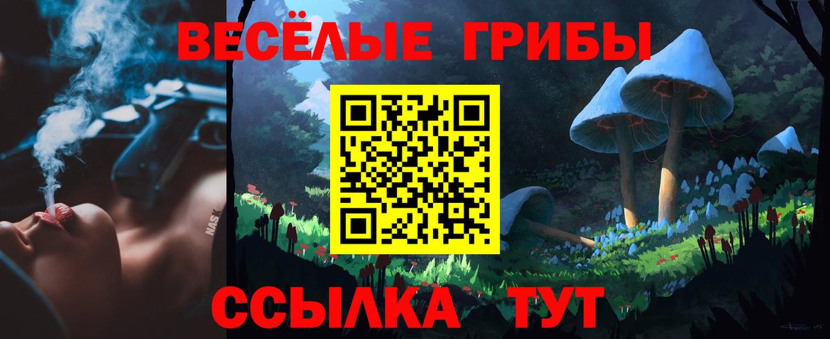 Усть-Илимск  Псилоцибиновые грибы MAGIC MUSHROOMS  Галлюциногенные грибы MAGIC MUSHROOMS  Вход с VPN 